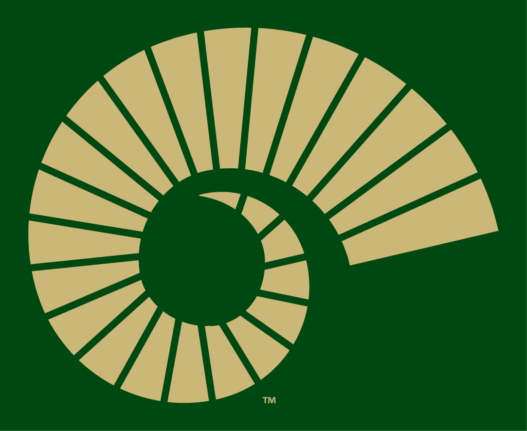 Colorado State Rams 2015-Pres Alternate Logo v4 DIY iron on transfer (heat transfer)